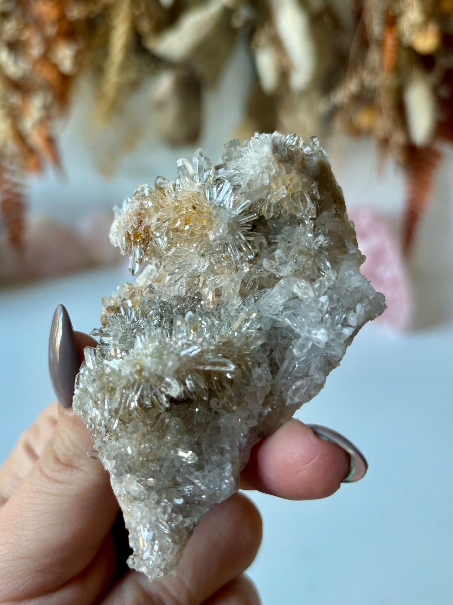 Chrysanthemum Quartz