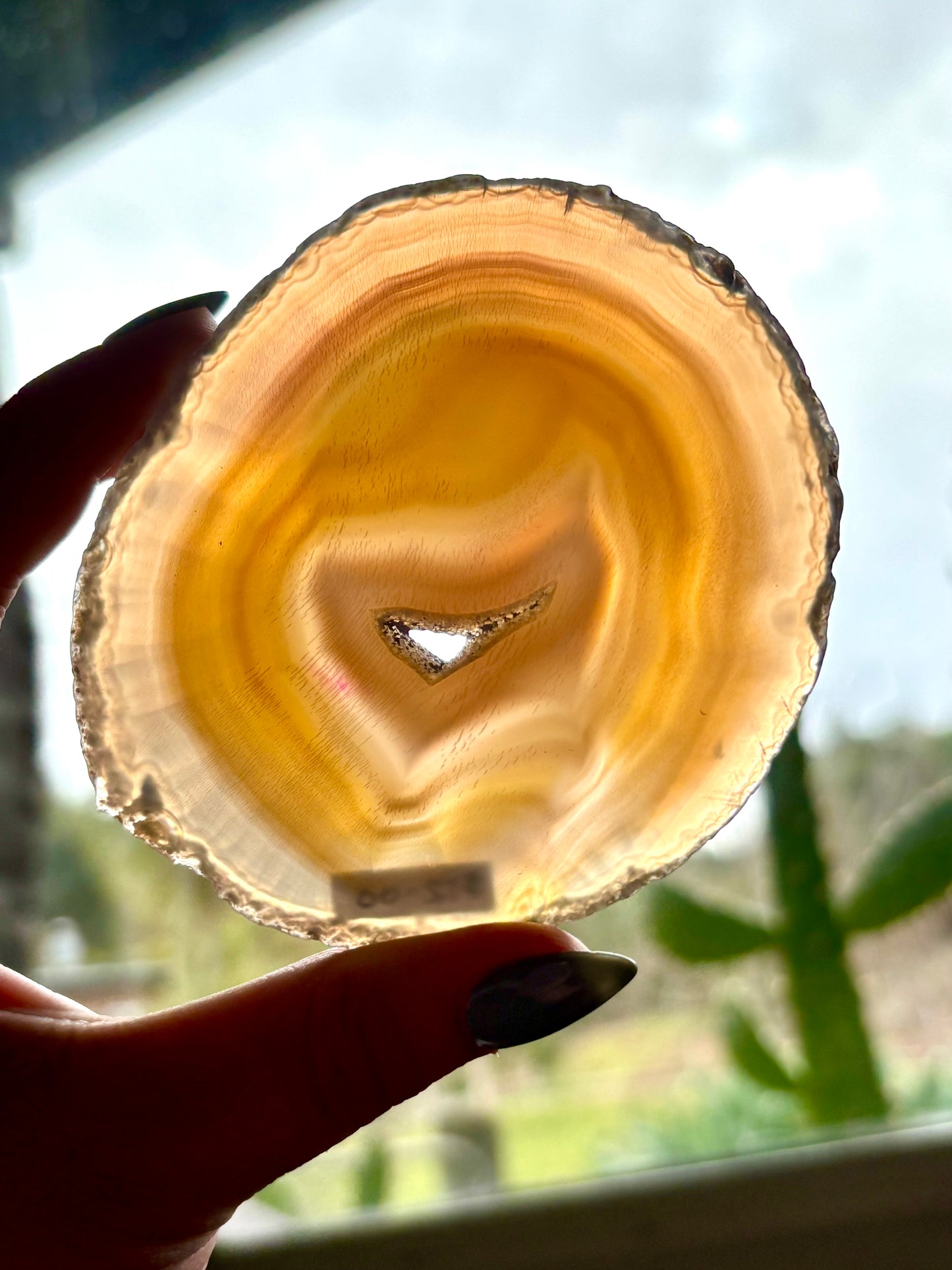Agate Slice (4)