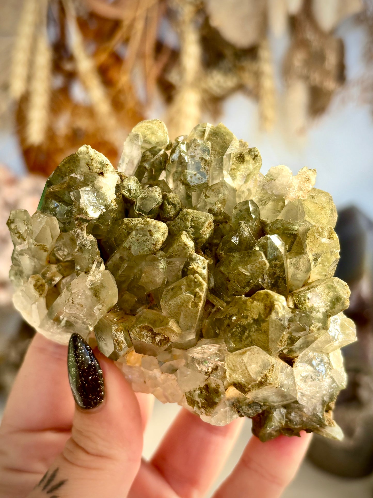 Chlorite Included Quartz