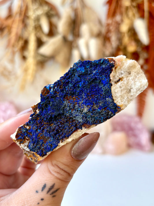 Azurite on Matrix (Morocco)