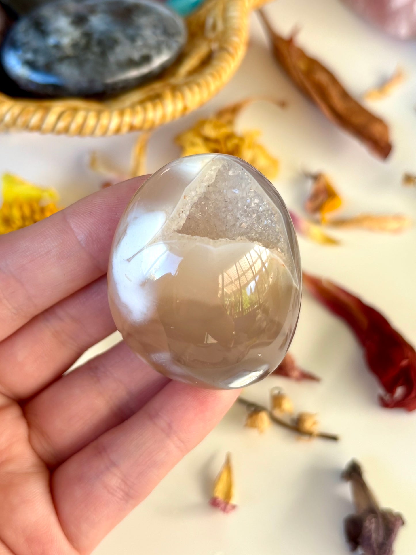 Orca Agate Palm with Druse