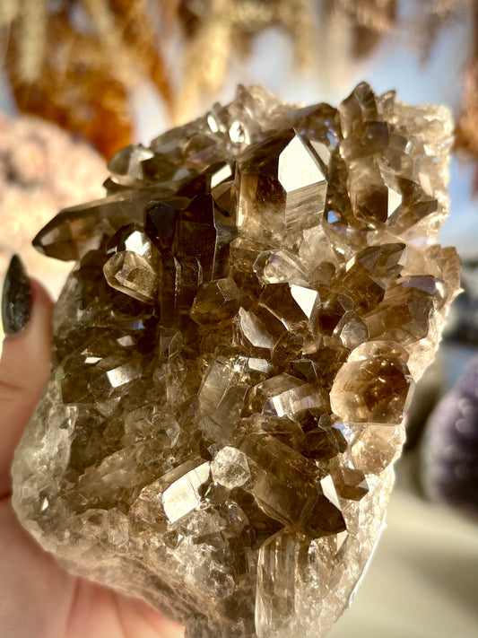 Smoky Quartz Cluster