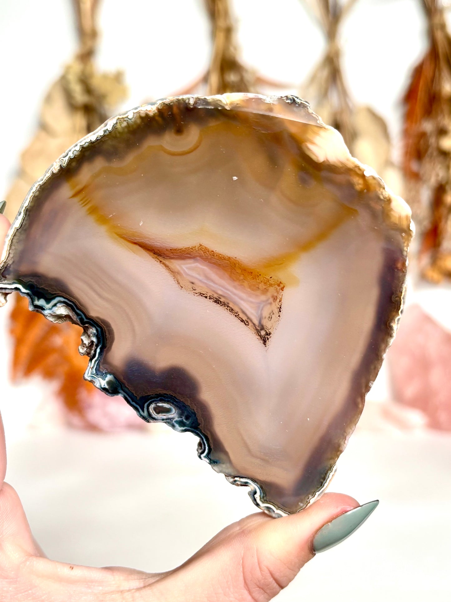 Agate Slice (2)