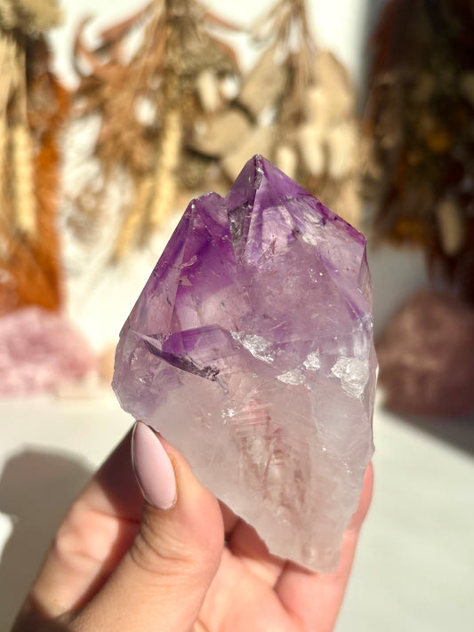 Double Point Amethyst Root