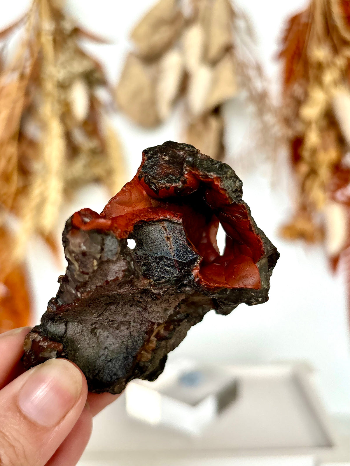 Red Fox Agate Botryoidal Geode (Rare)