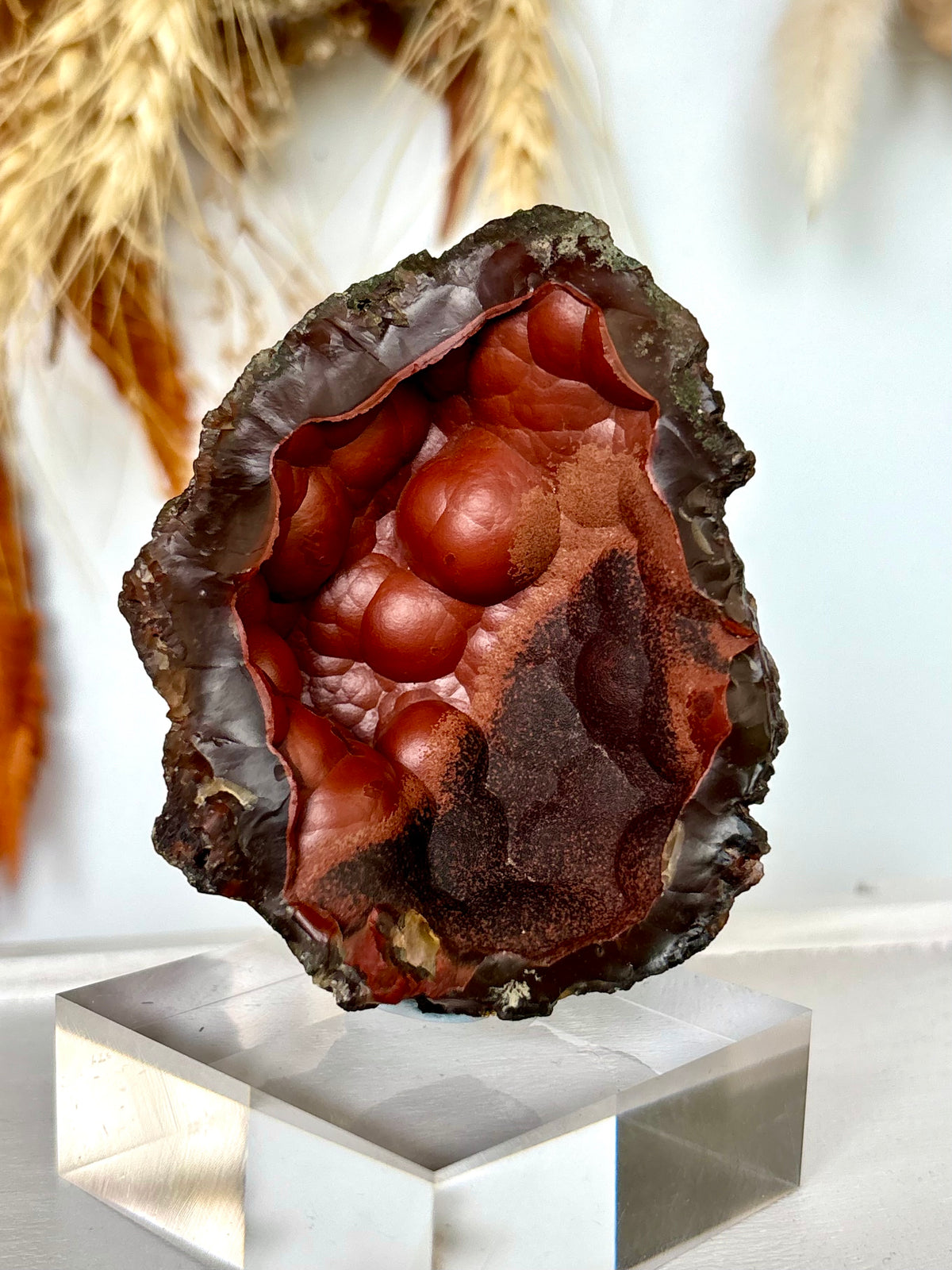 Red Fox Agate Botryoidal Geode (Rare) (02)