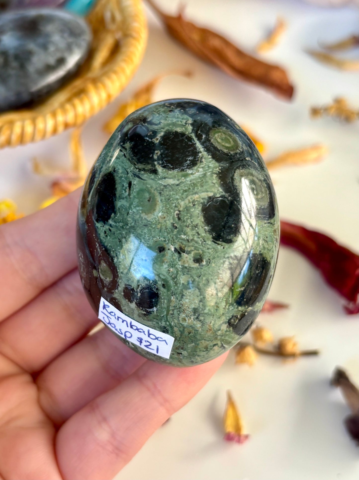 Kambaba Jasper Palm