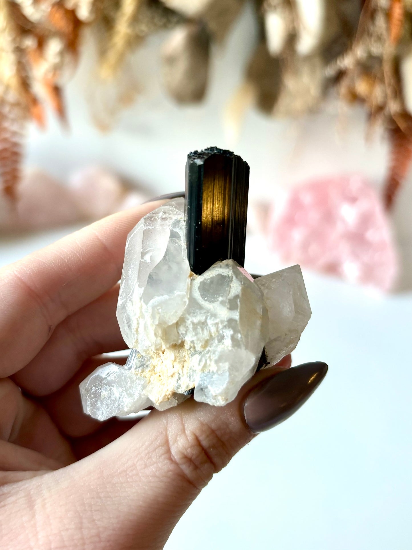 Schorl Black Tourmaline on Clear Quartz