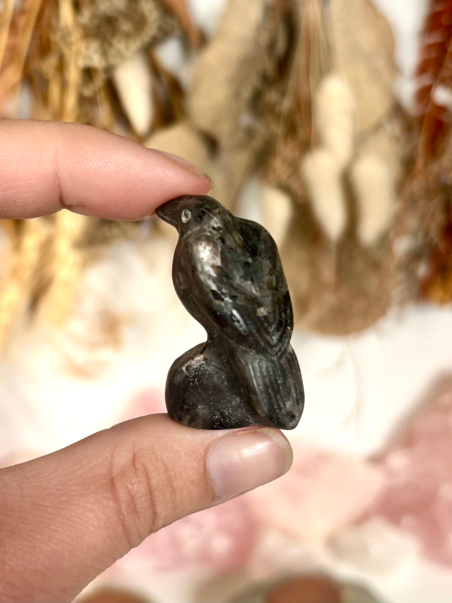 Larvikite Raven