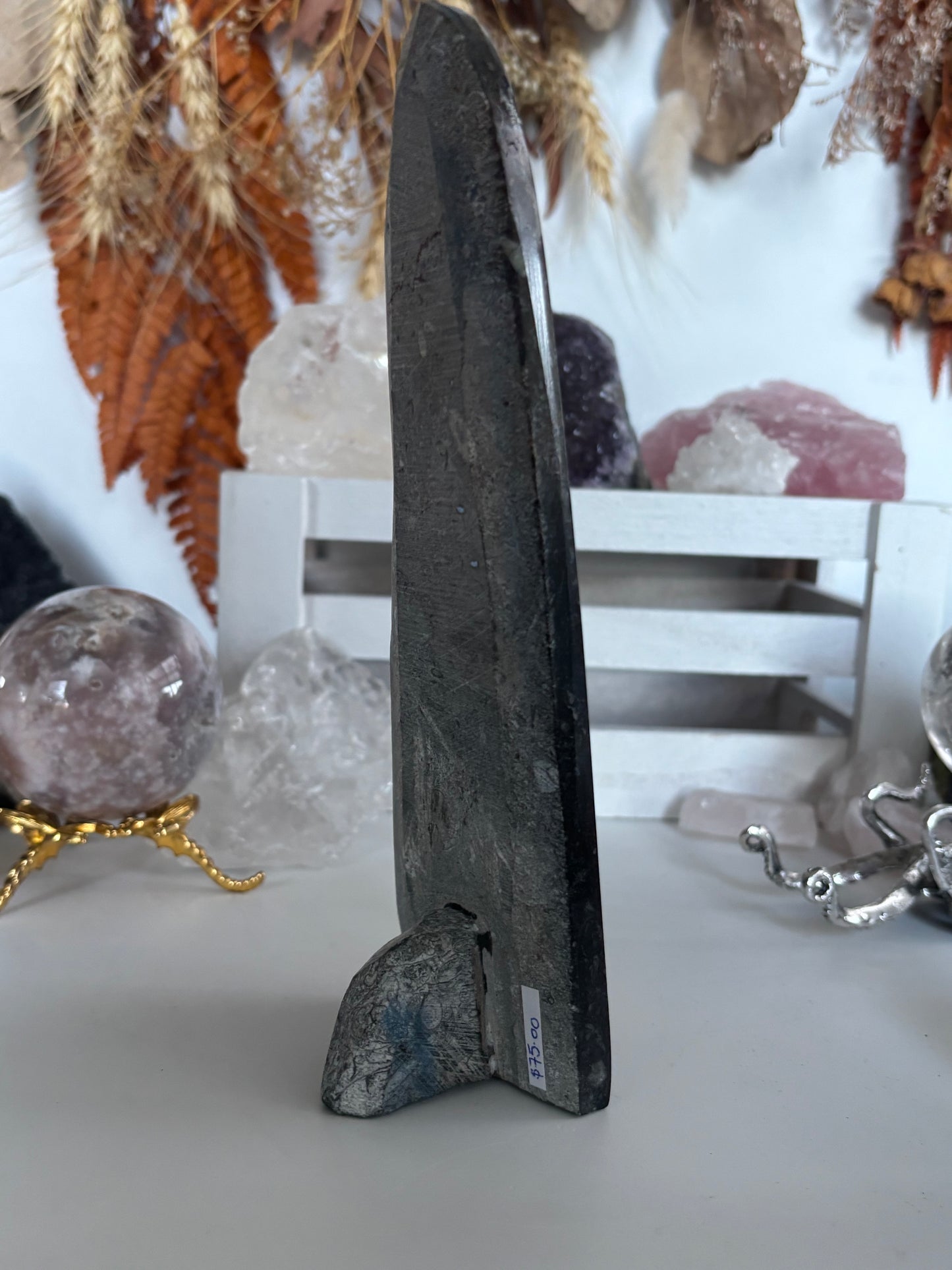 Standing Orthoceras Horn Fossil