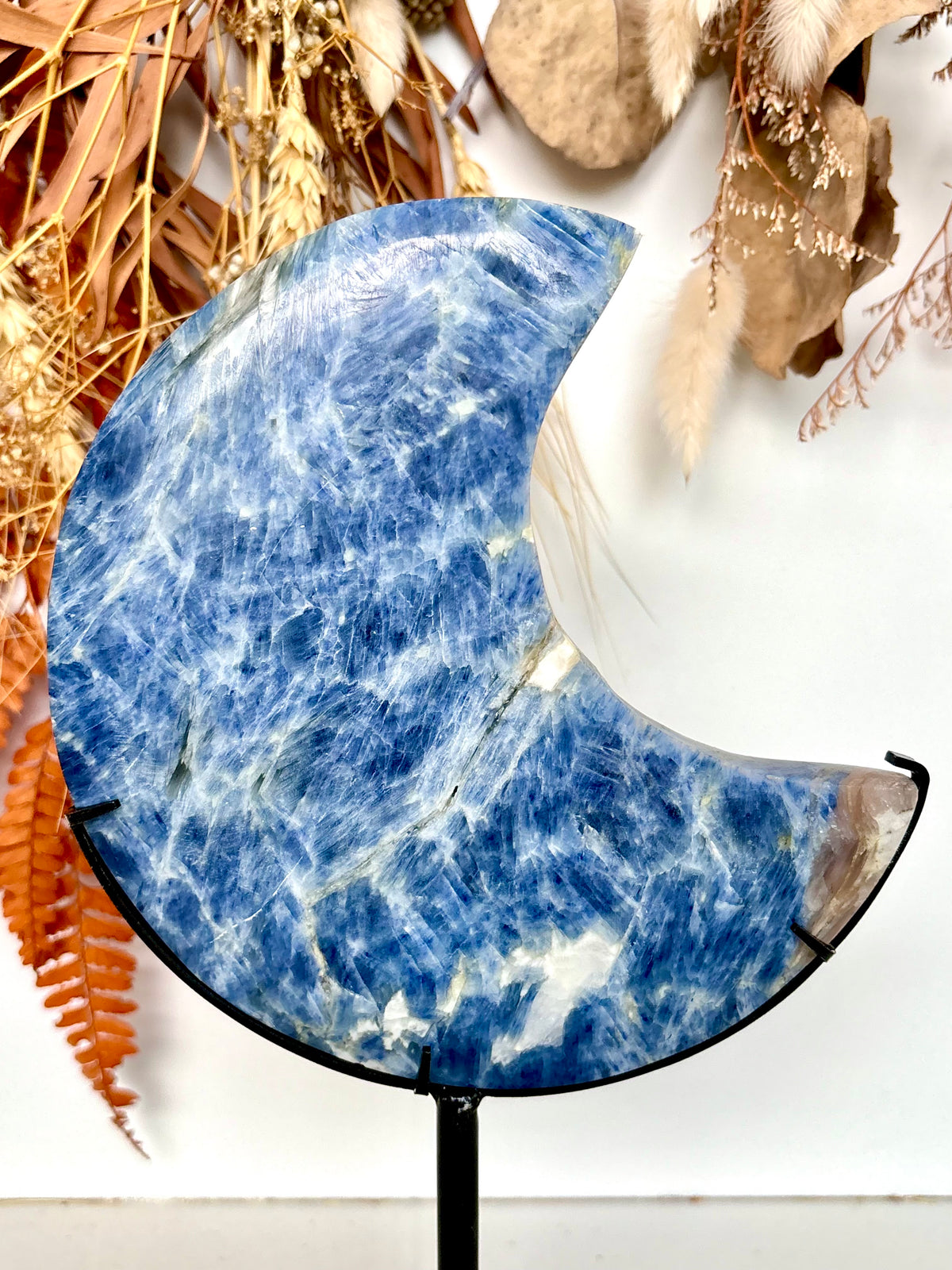 Blue Kyanite Large Moon on Black Stand