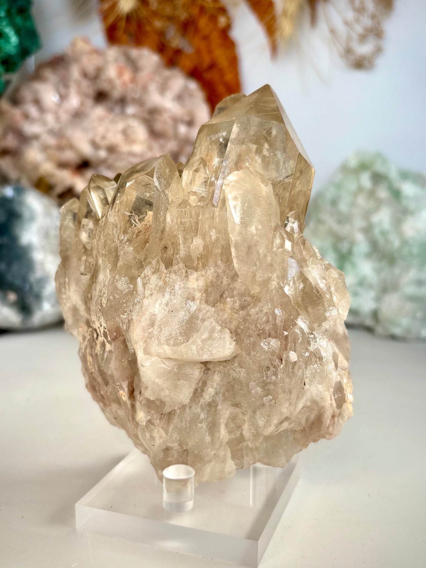 Natural Citrine Kundalini - Africa