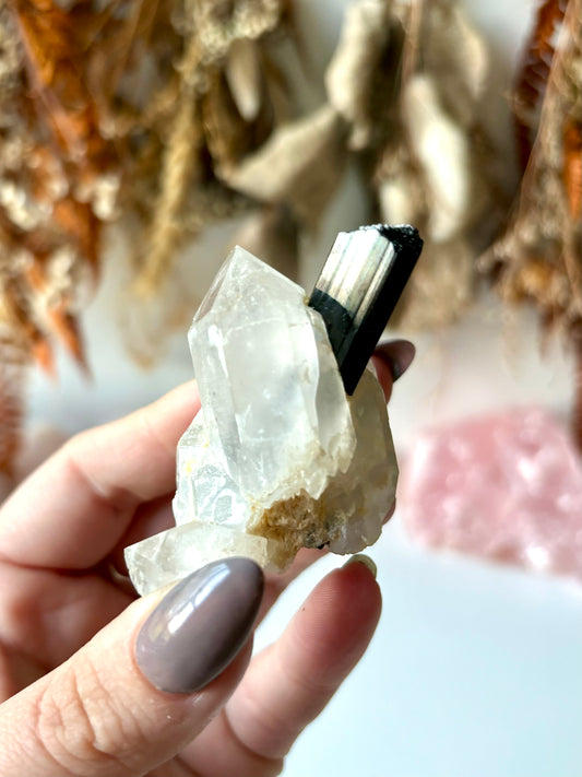 Schorl Black Tourmaline on Clear Quartz