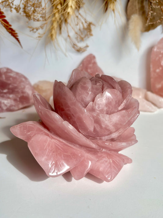 Large Rose Quartz Rose
