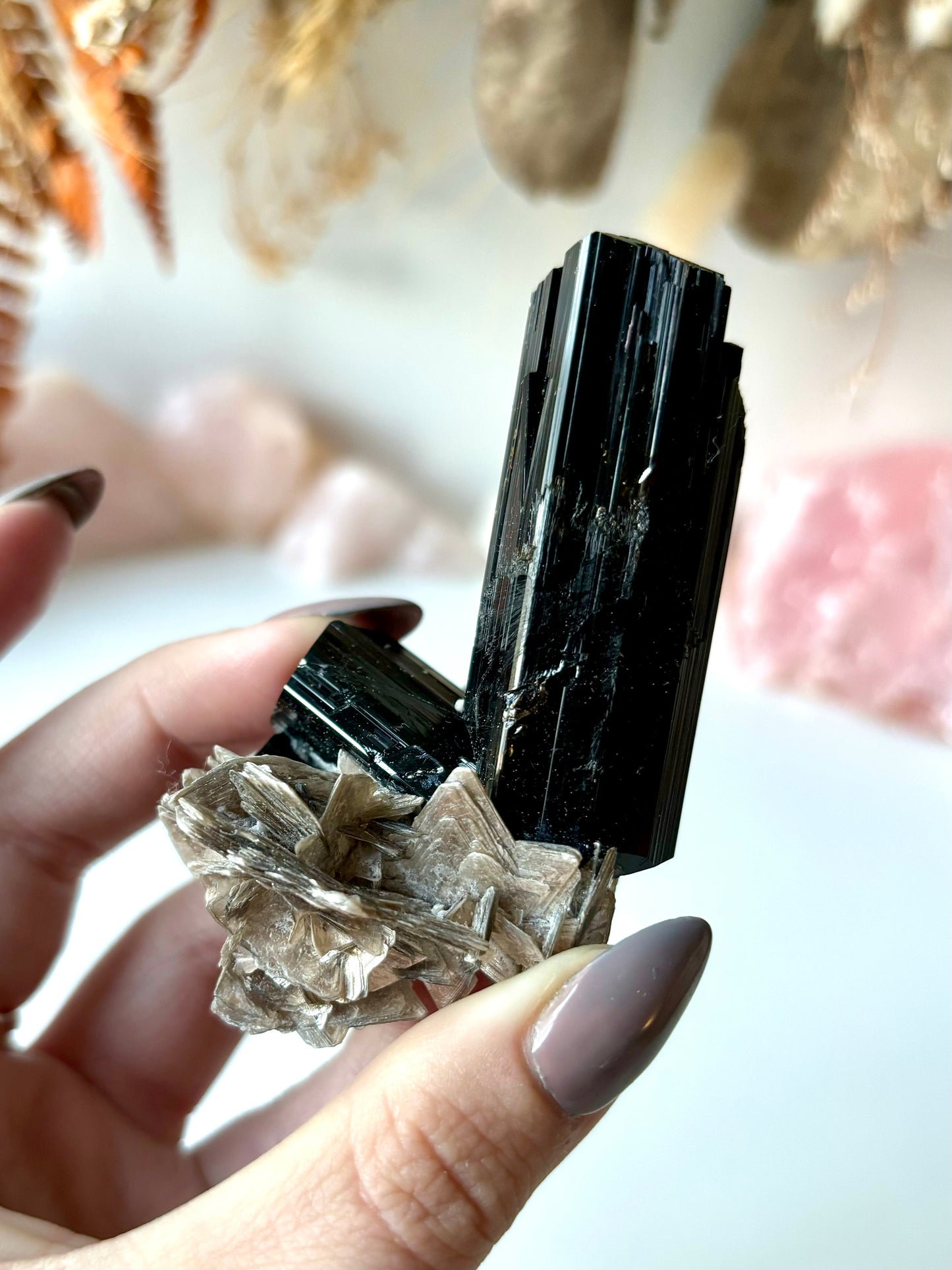 Schorl Tourmaline with Muscovite