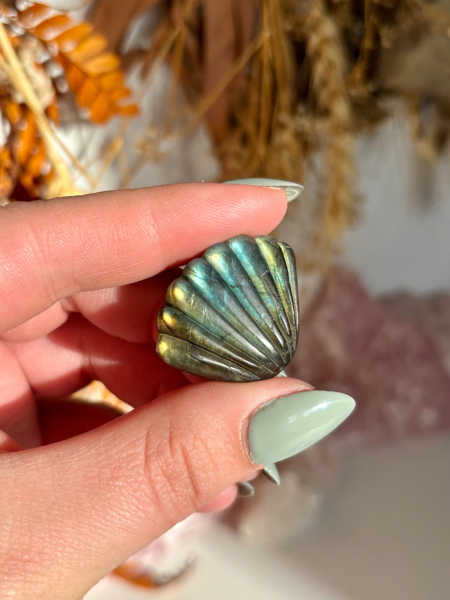 Labradorite Seashell