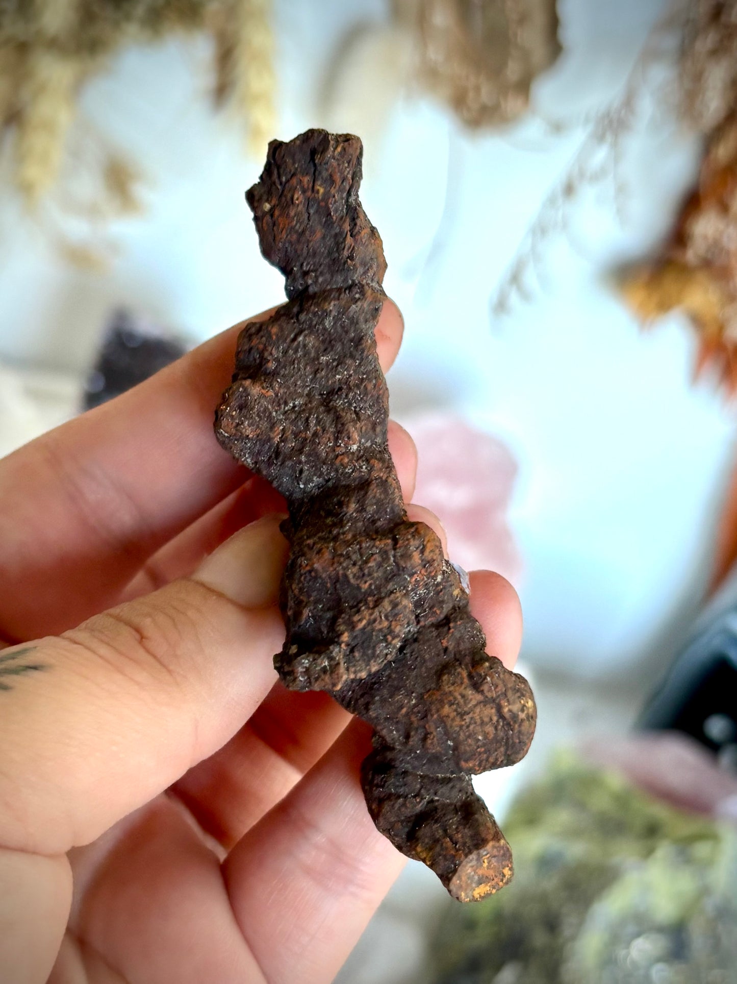 Fossilised Dinosaur Crap - Coprolite