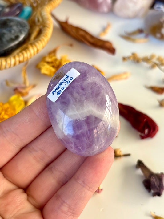 Amethyst Palm