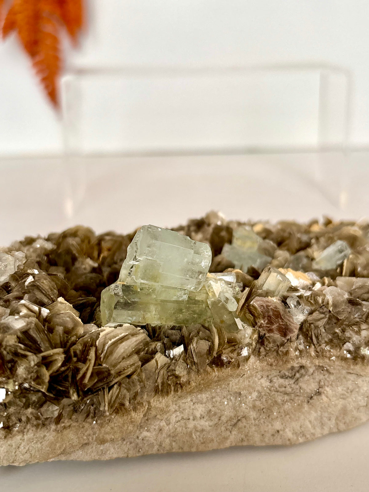Aquamarine Crystals on Muscovite - Pakistan