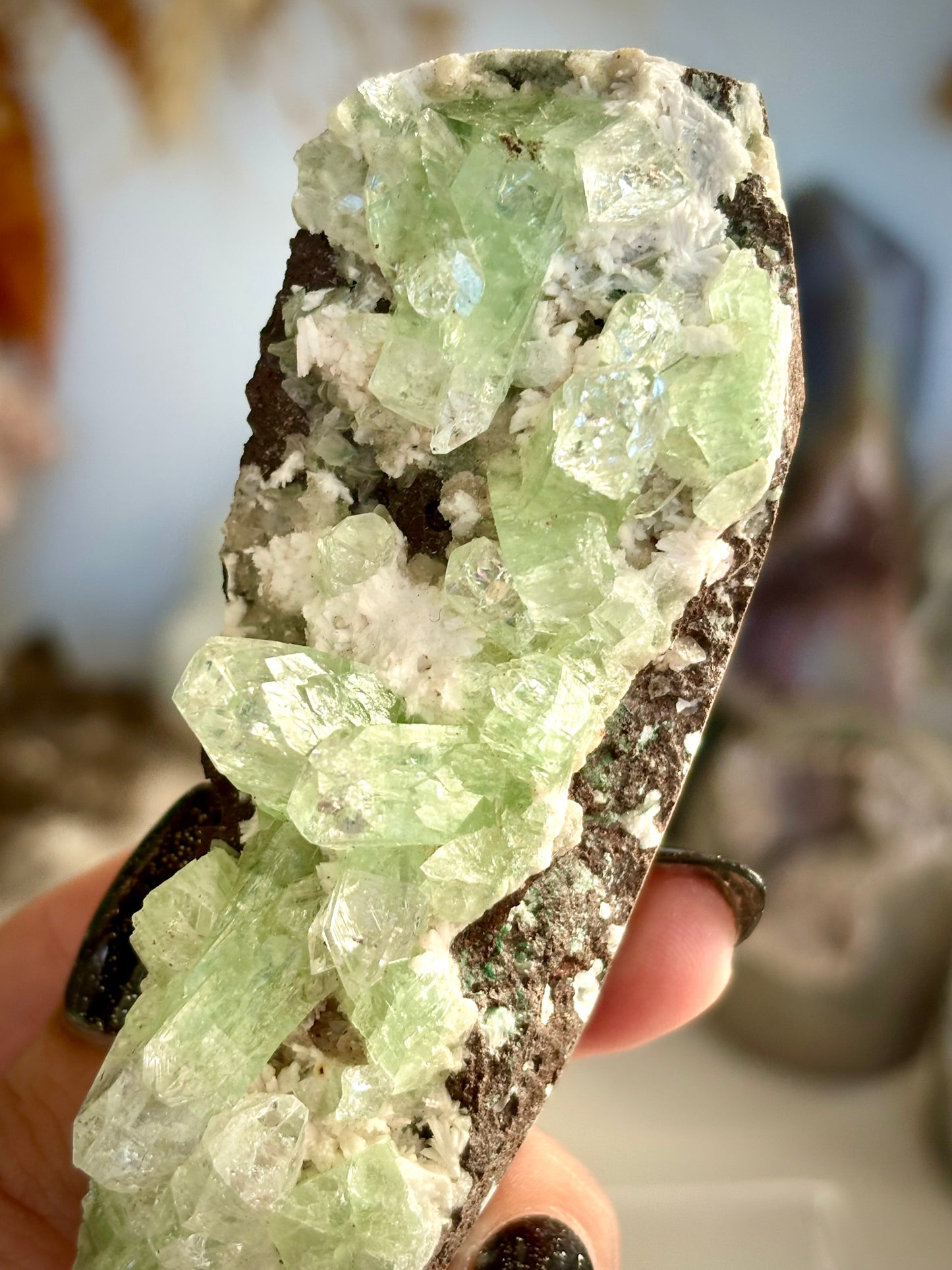 Green Zoned Apophyllite - India