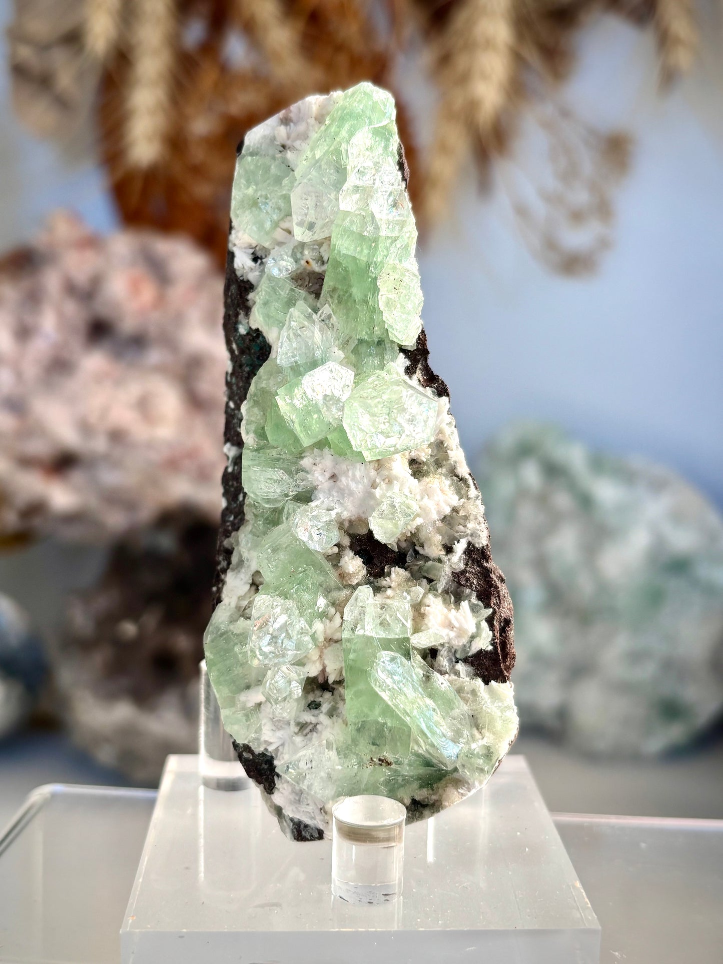 Green Zoned Apophyllite - India
