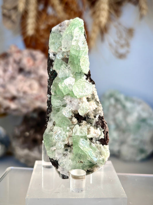 Green Zoned Apophyllite - India