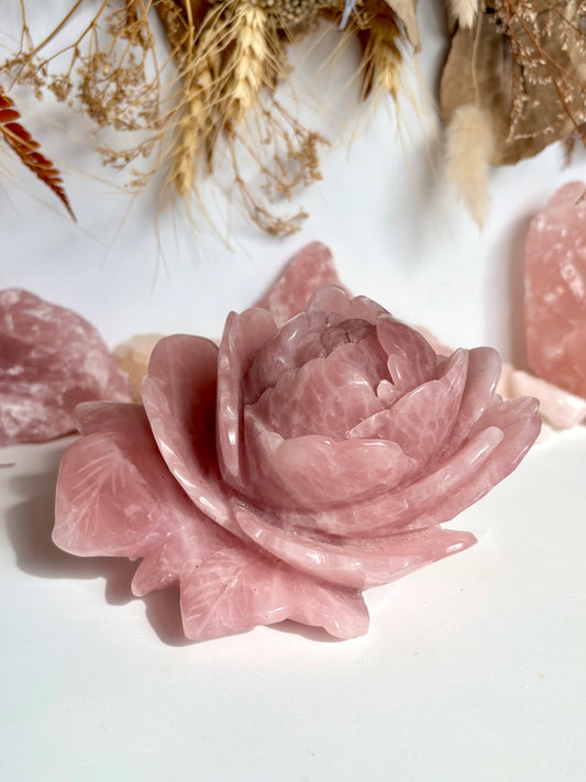 Large Rose Quartz Rose