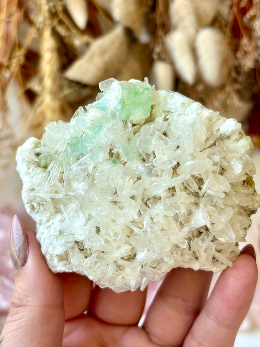 Fluorite Cubes on Scolecite