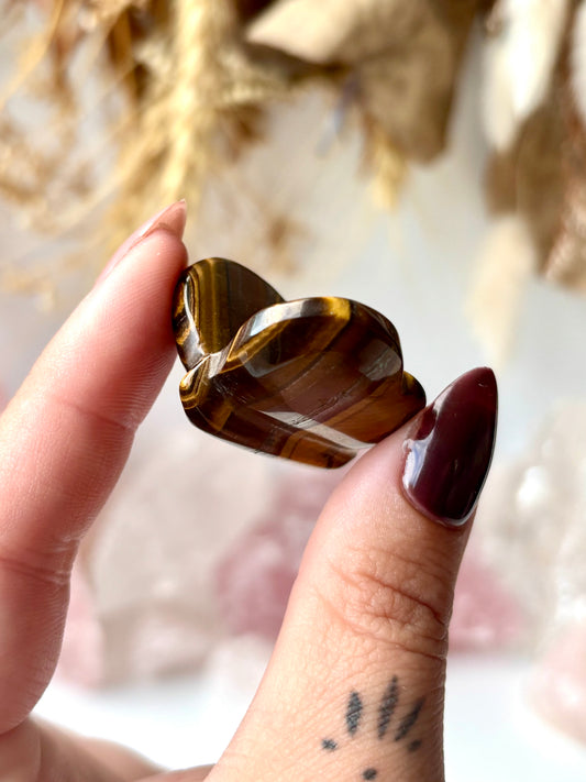 Tiger Eye Butterfly