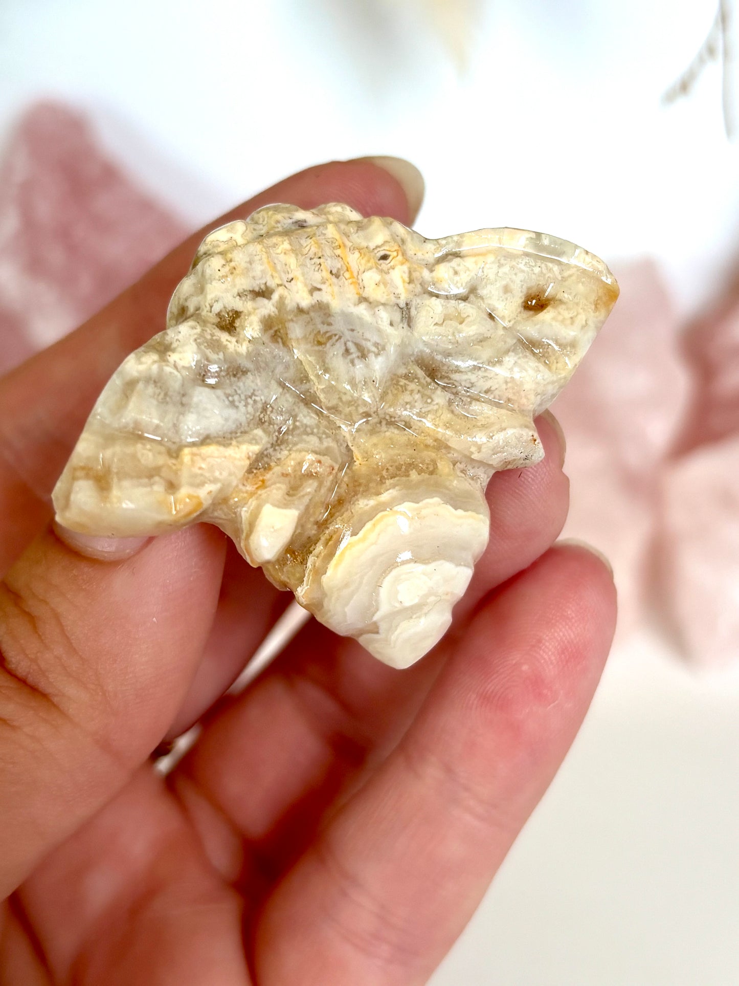 Golden Lace Agate Bee (1)