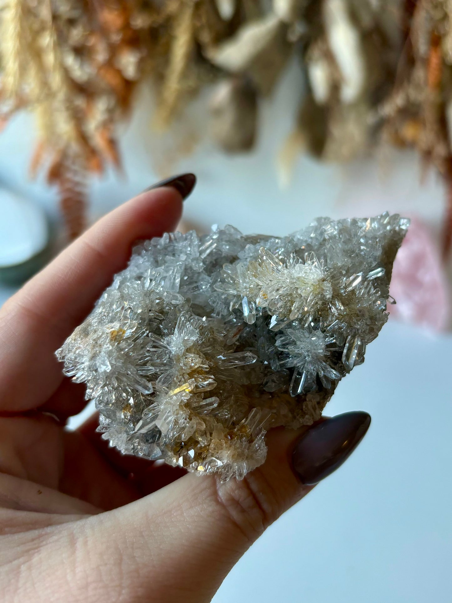 Chrysanthemum Quartz