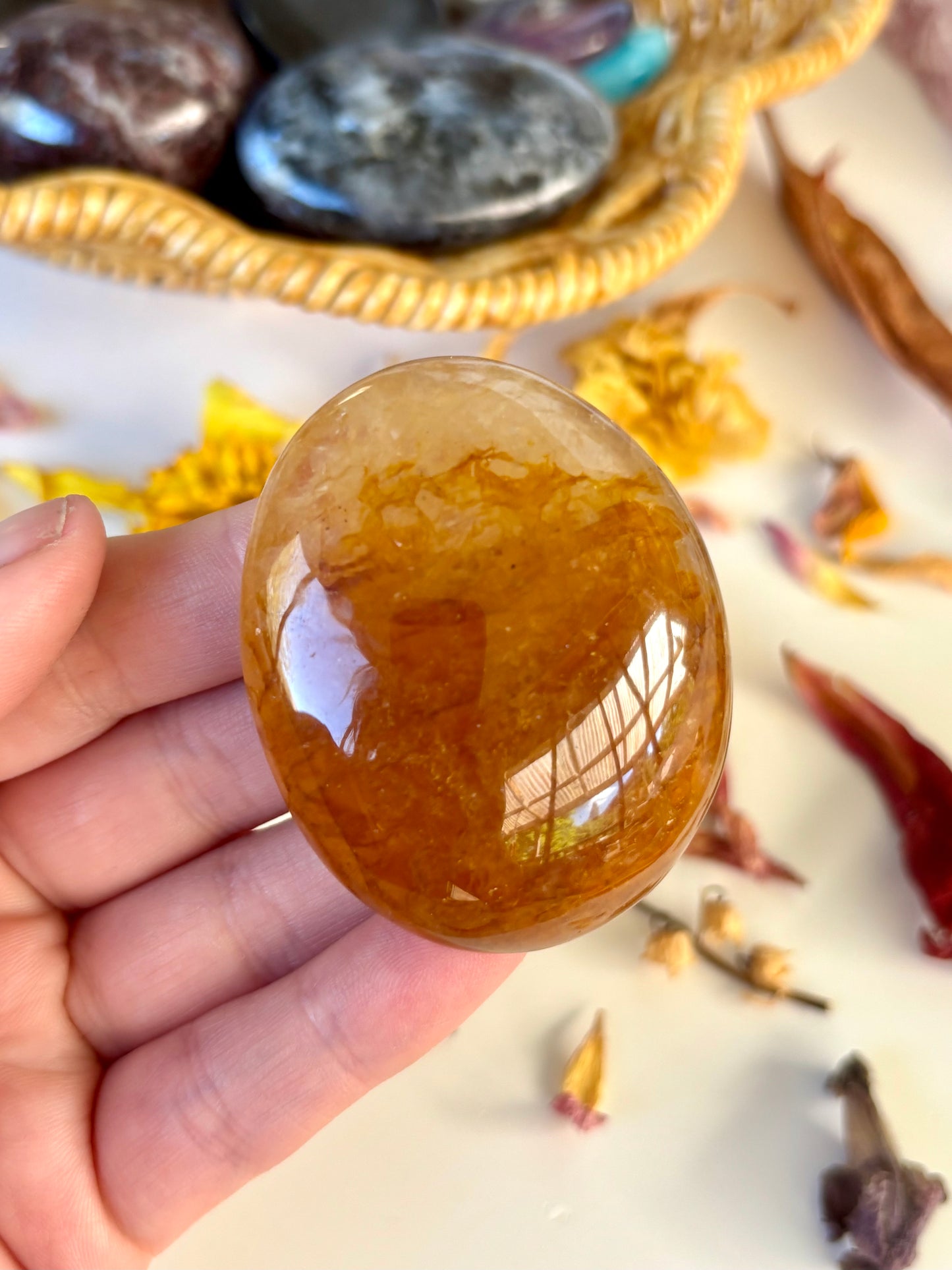 Golden Healer Palm