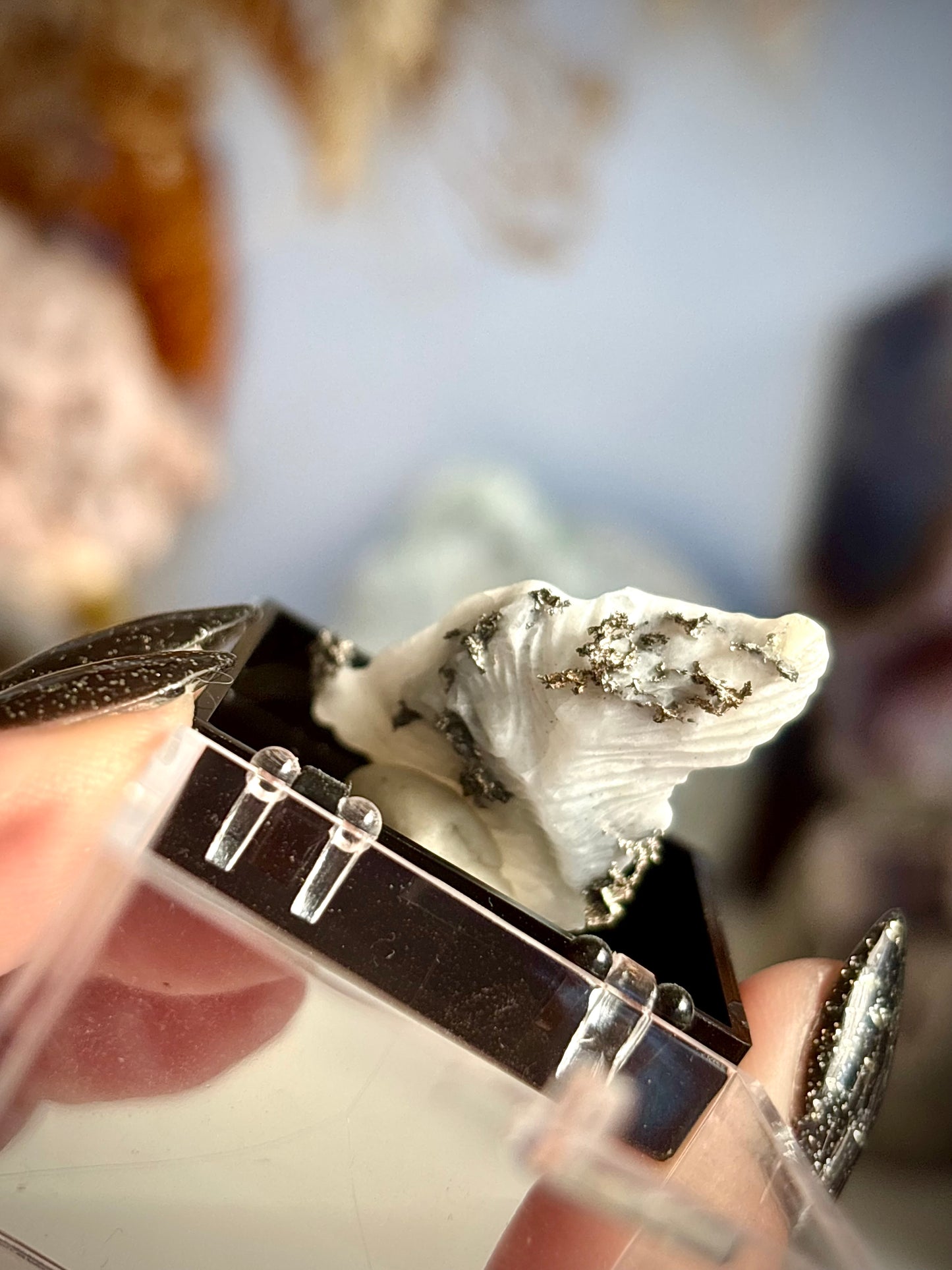 Native Silver in Dyscrasite - Morocco