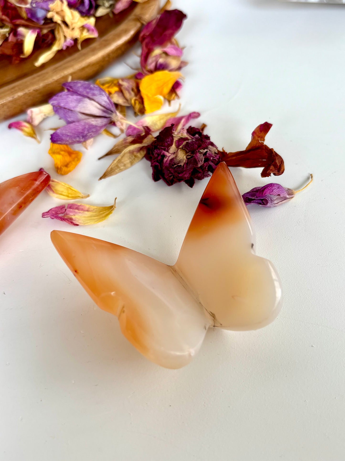 Carnelian Butterfly