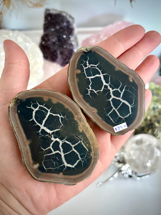 Septarian (Thunder Egg) Cut Pair -Large