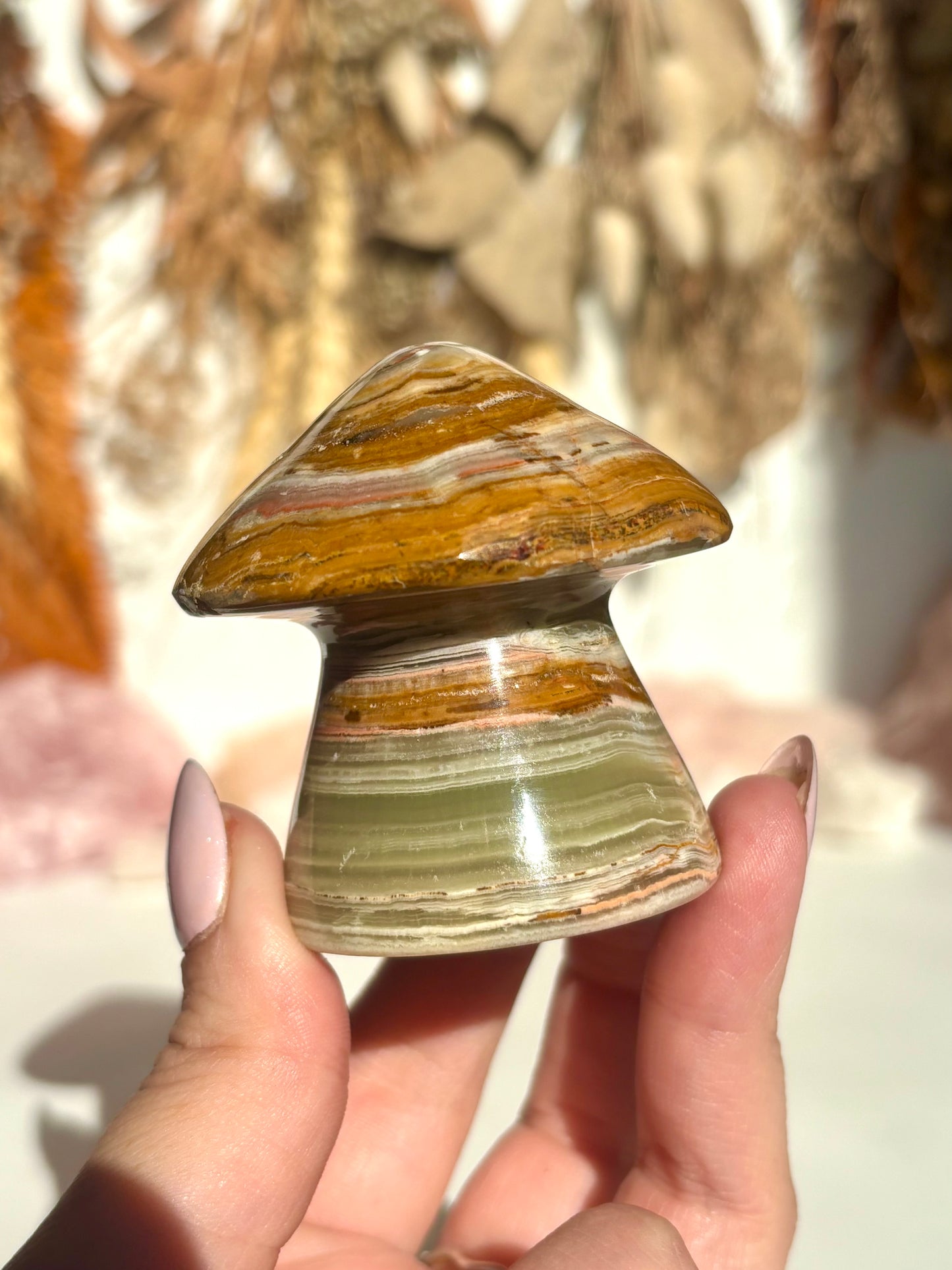Banded Onyx Mushroom (Calcite)