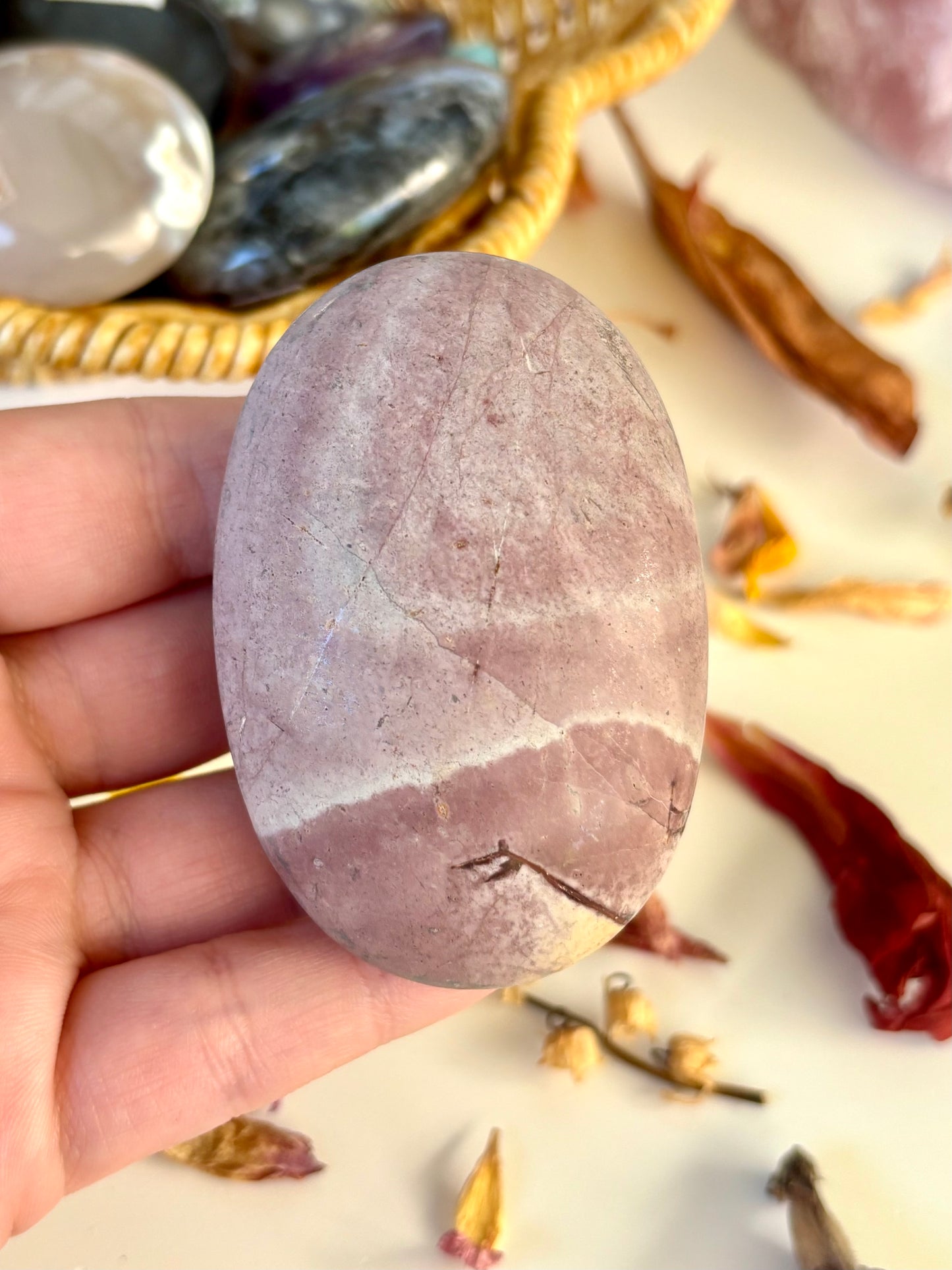 Purple Polychrome Palm