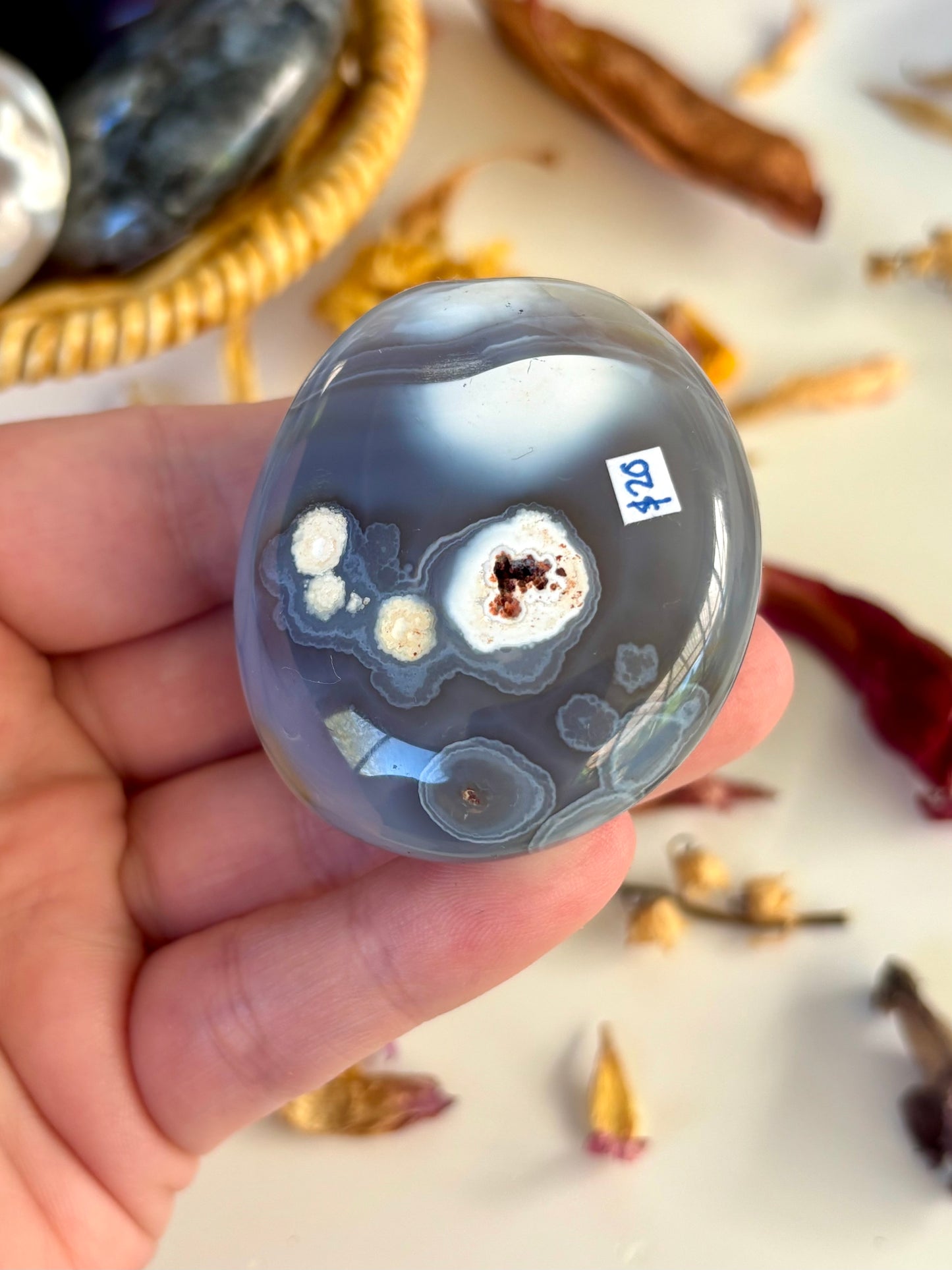 Orca Agate Palm with Druse