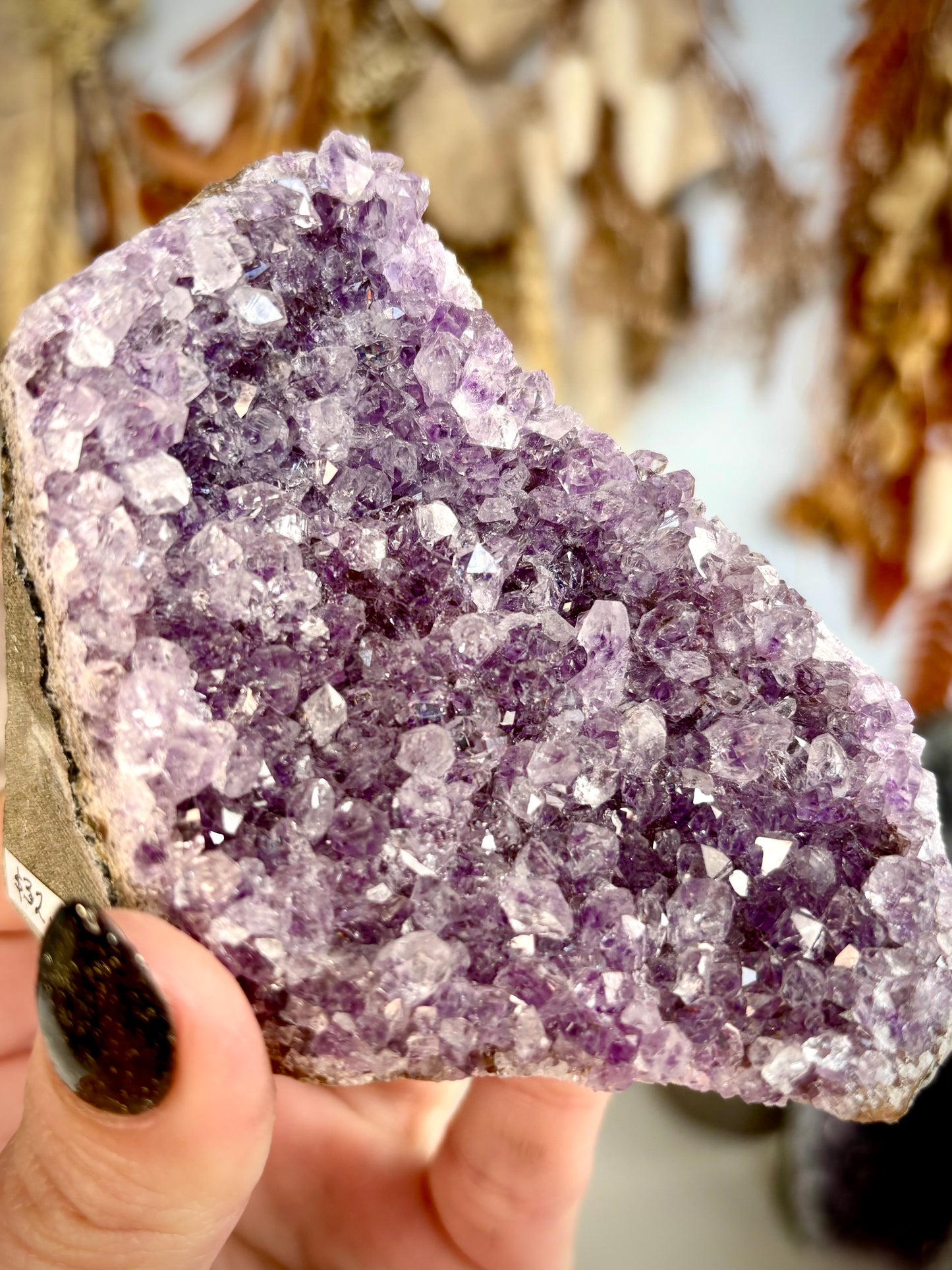 Amethyst Cut Base - Brazil
