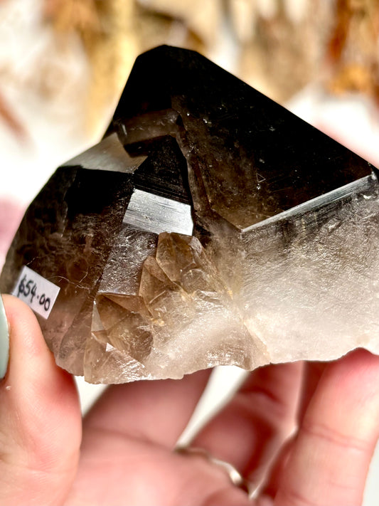 Smokey Quartz Cluster Natural Point(s) - with Faden feature.
