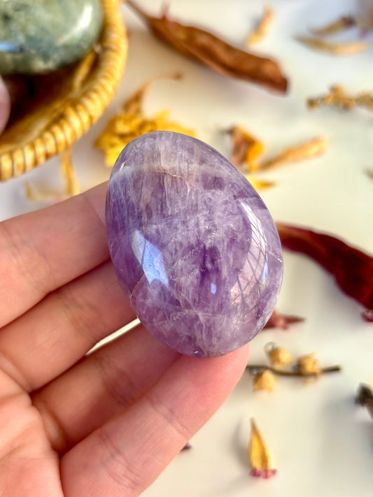 Amethyst Palm