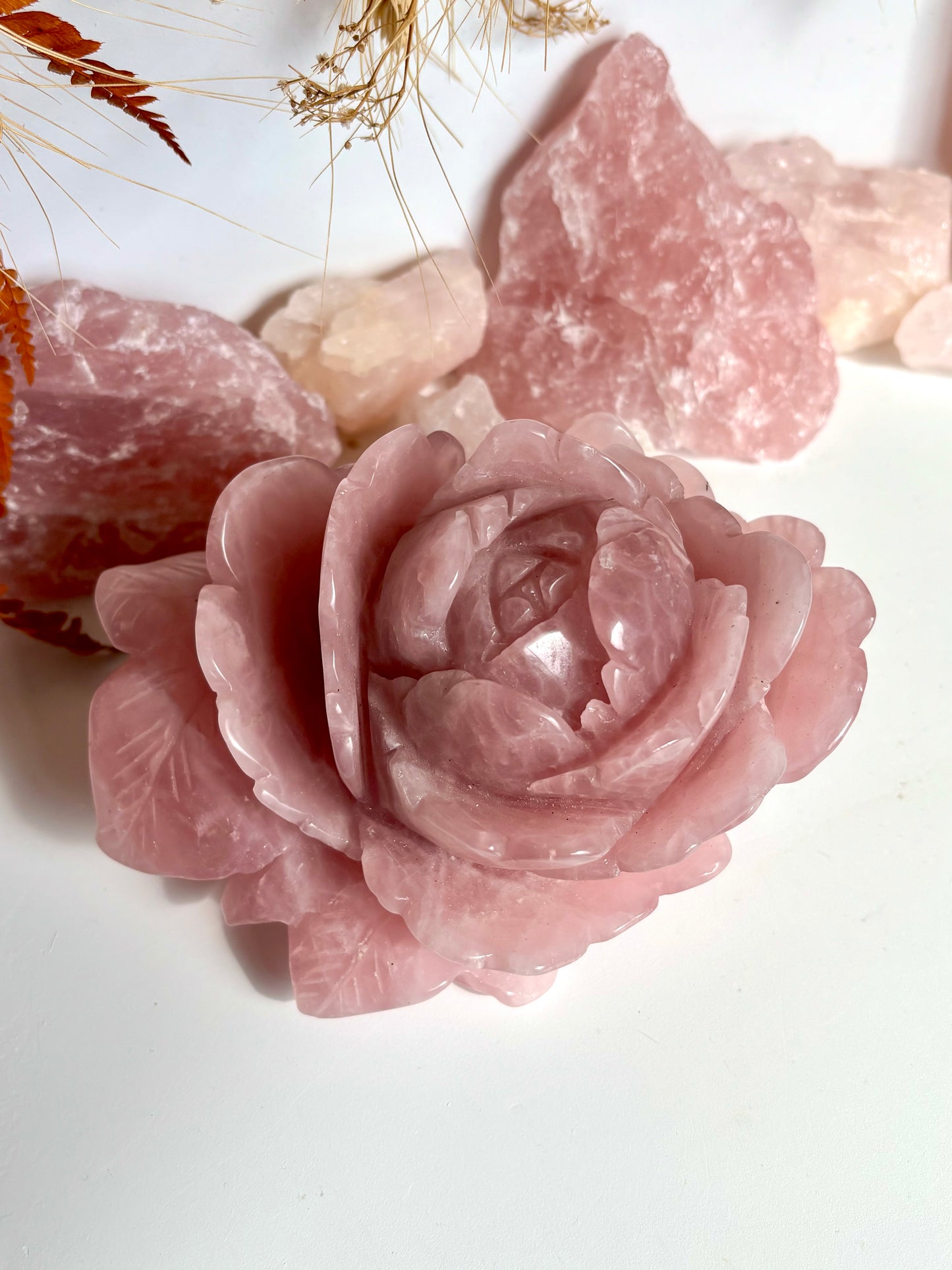 Large Rose Quartz Rose