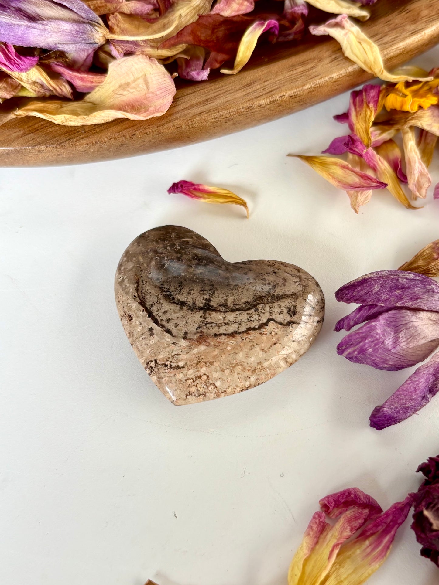 Fossilised Palm Root Heart