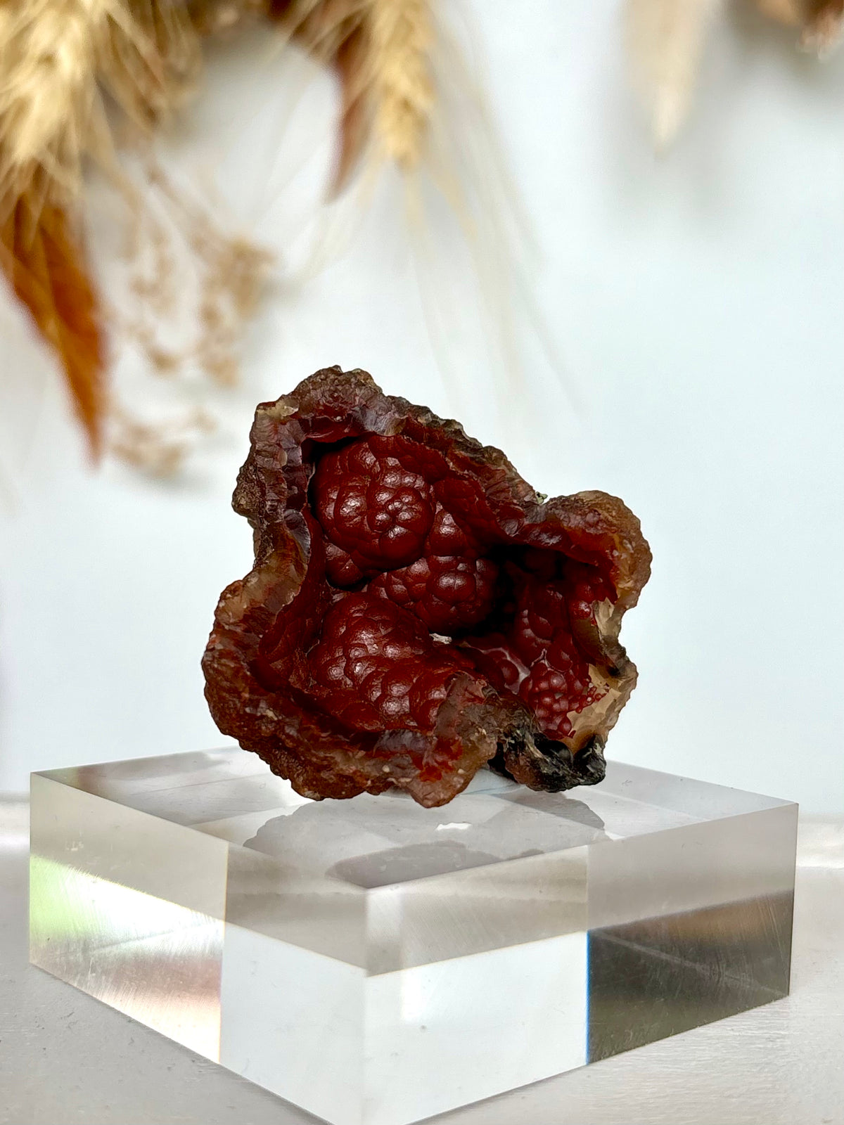 Red Fox Agate Botryoidal Geode (Rare)