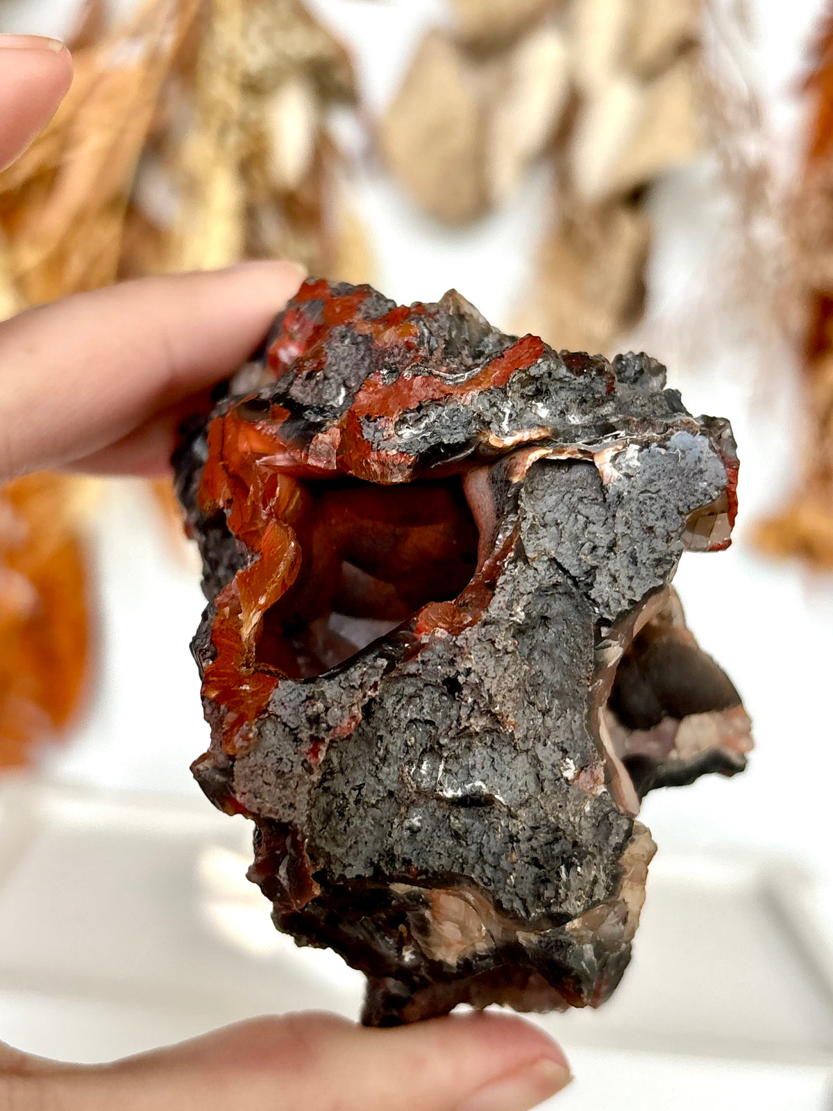 Red Fox Agate Botryoidal Geode (Rare)