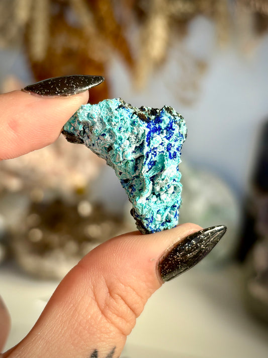 Chrysocolla & Azurite Silica Speciman