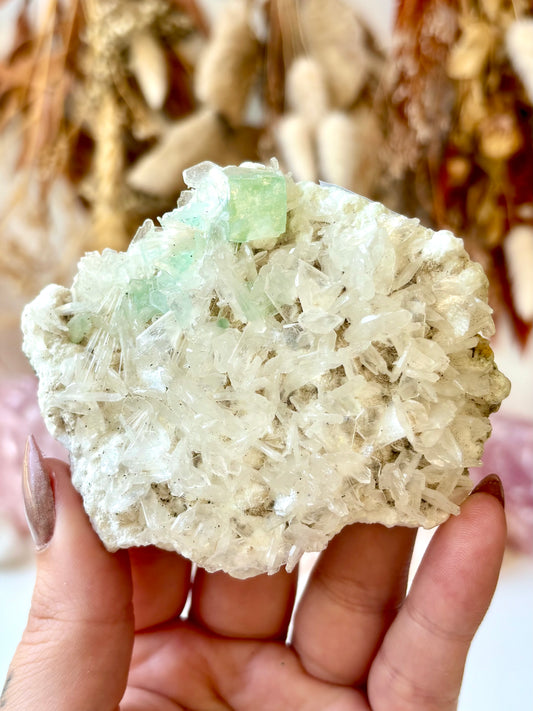 Fluorite Cubes on Scolecite