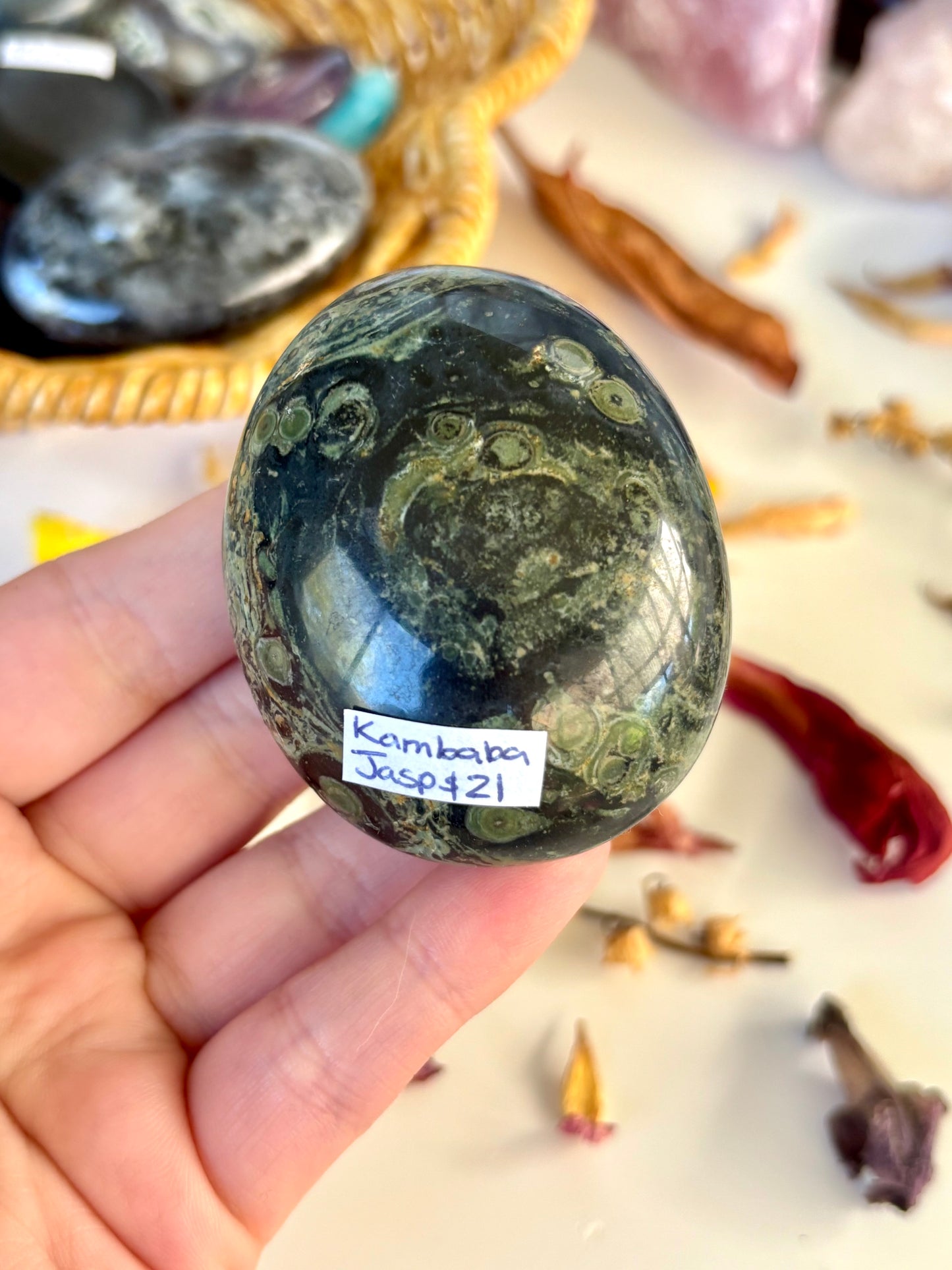 Kambaba Jasper Palm