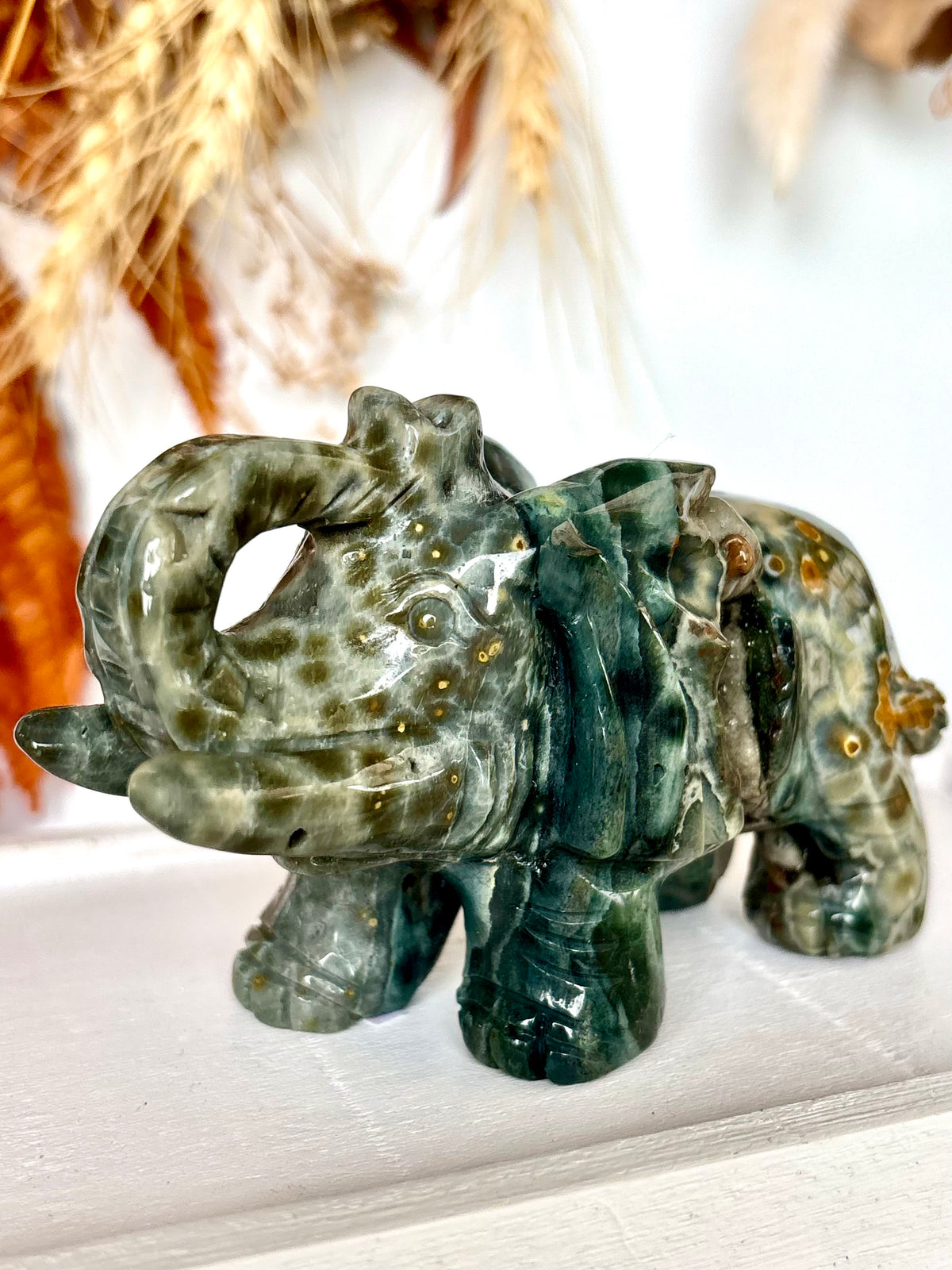 Ocean Jasper Elephant