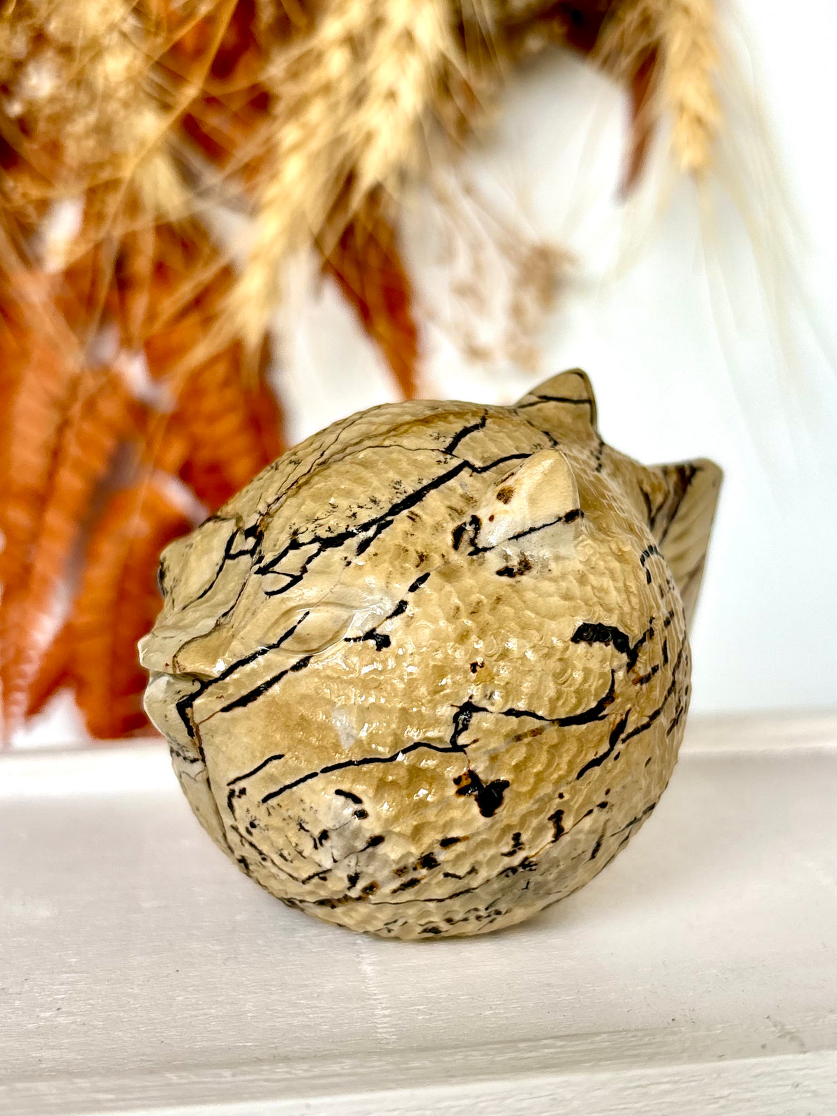 Picture Jasper Puffer Fish